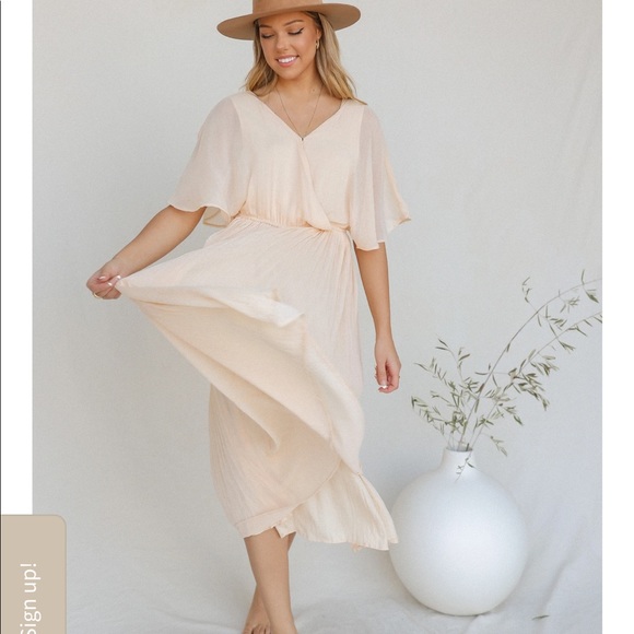 Champagne Pleated Dress- Tags Attached! Size Large - Picture 3 of 11